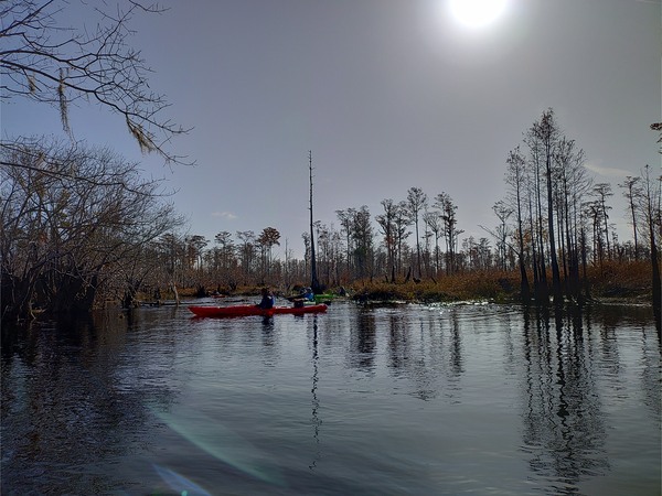 [Paddlers, 10:37:24 --Phil Royce]