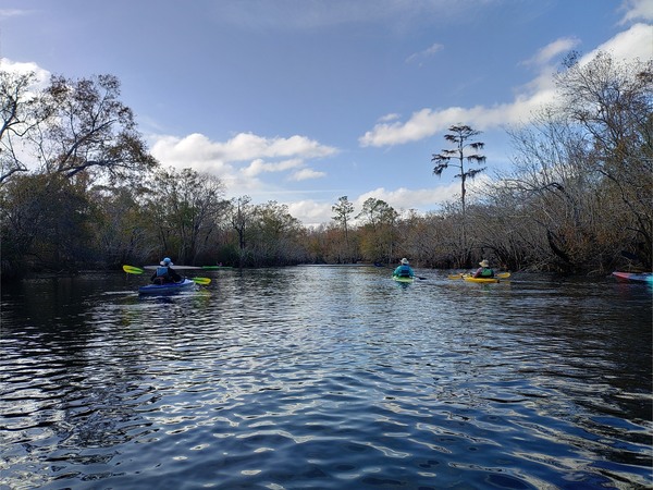 [Paddling down the Suwannee River, 12:25:07 --Phil Royce]