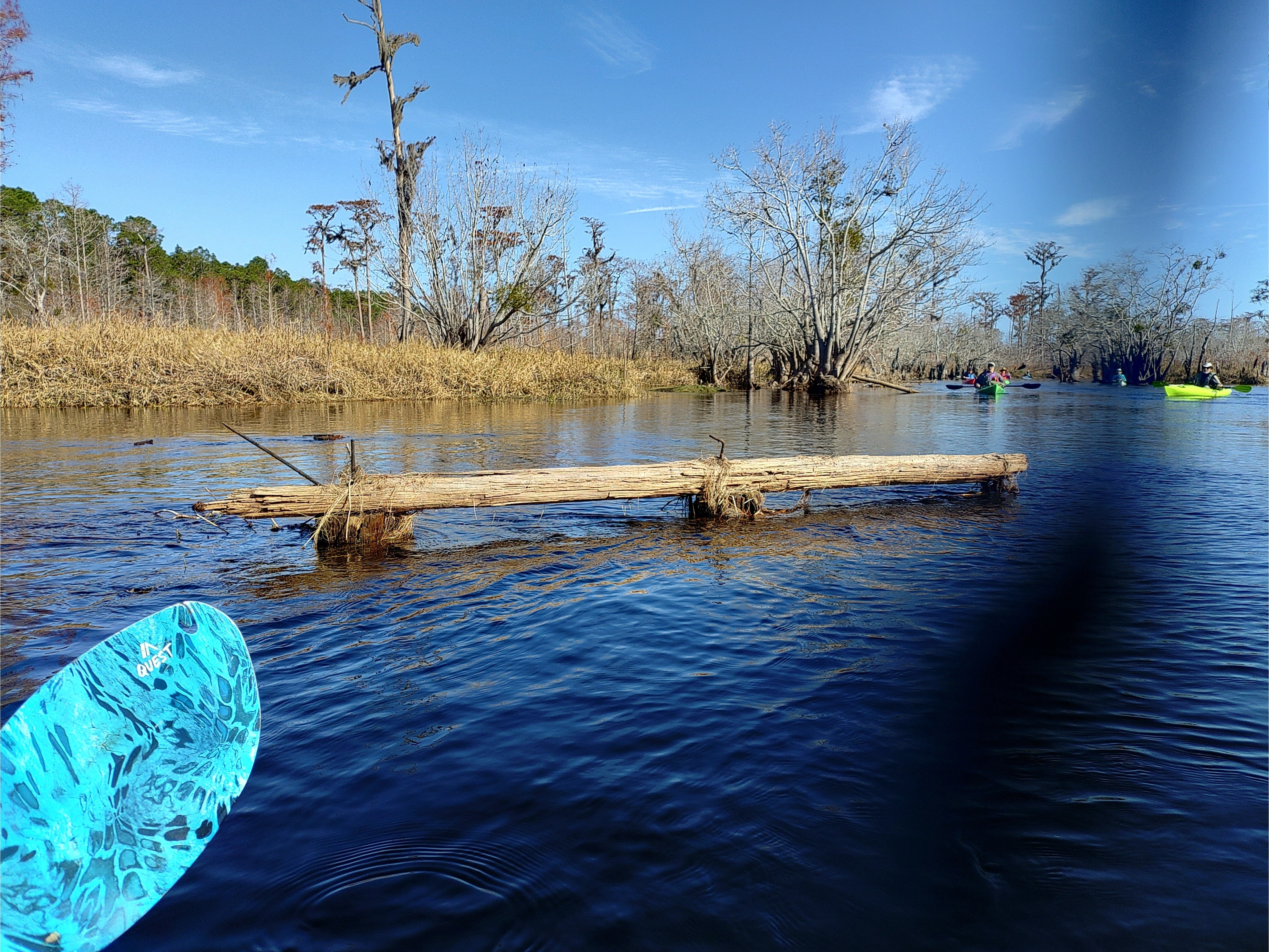 Log mid-stream, 10:46:26 --Phil Royce