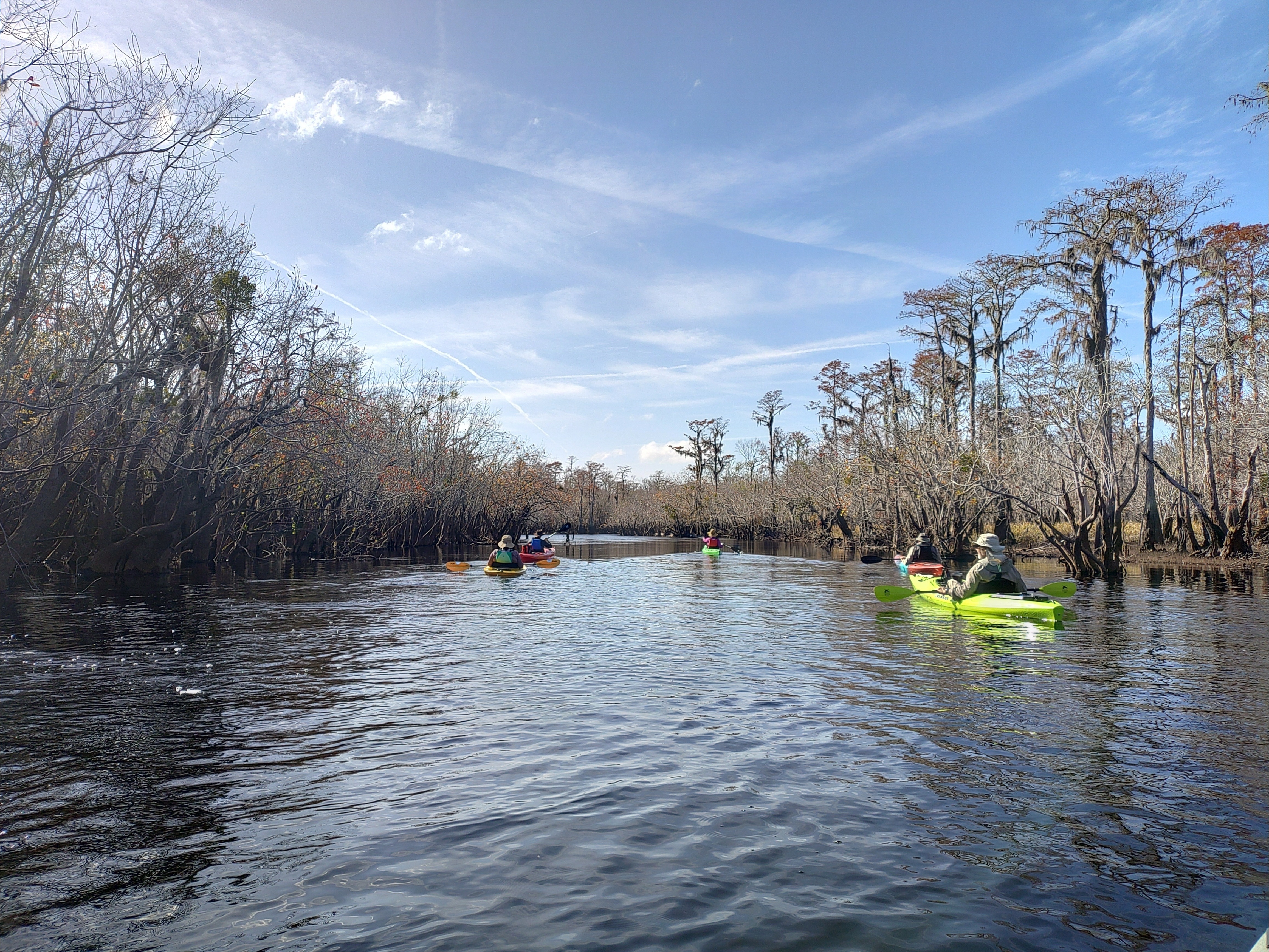 Wider Suwannee River, 11:51:46 --Phil Royce