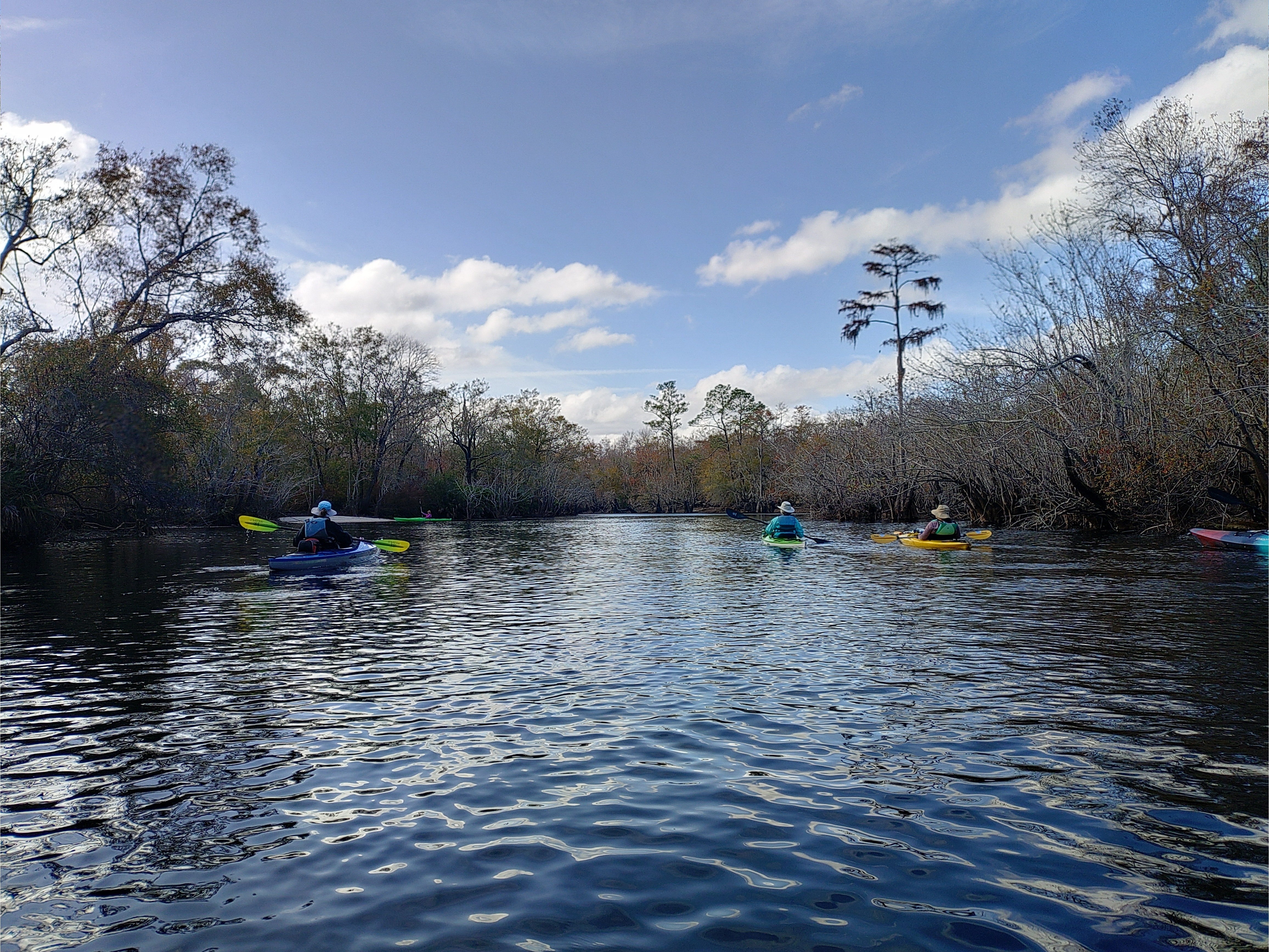 Paddling down the Suwannee River, 12:25:07 --Phil Royce