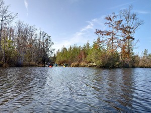 [Paddlers coming out of the SCFSP canal, 09:16:43 --Phil Royce]