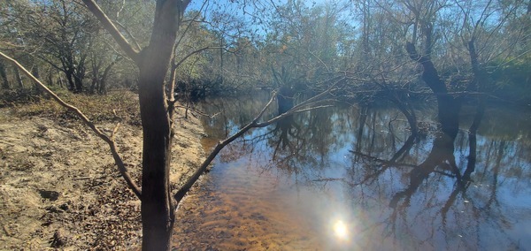 [Downstream, Withlacoochee River, Langdale Park, 2024-12-19, 12:09:39, 30.8876366, -83.3243237]