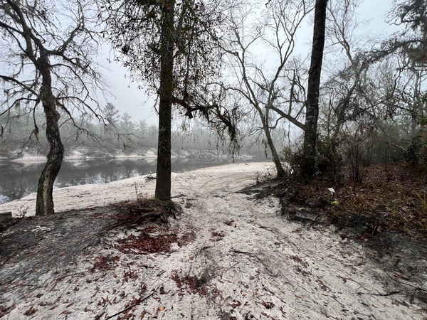 [Naylor Park Beach, Alapaha River @ US 84 2024-12-18]