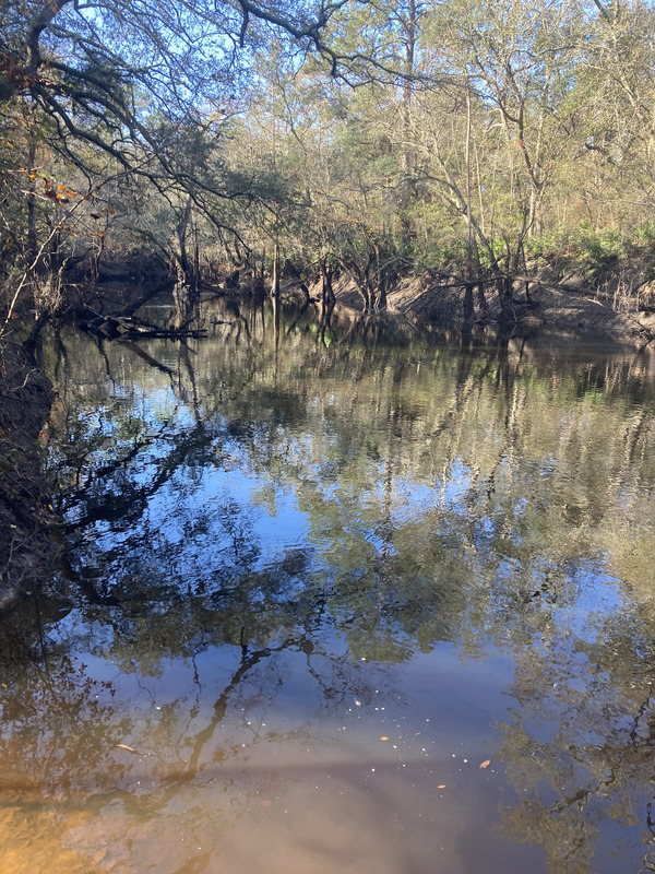 [Staten Road, Withlacoochee River @ Staten Road 2024-12-19]