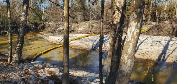 WaterGoat, Sugar Creek, 13:45:32, 30.8621769, -83.3188244