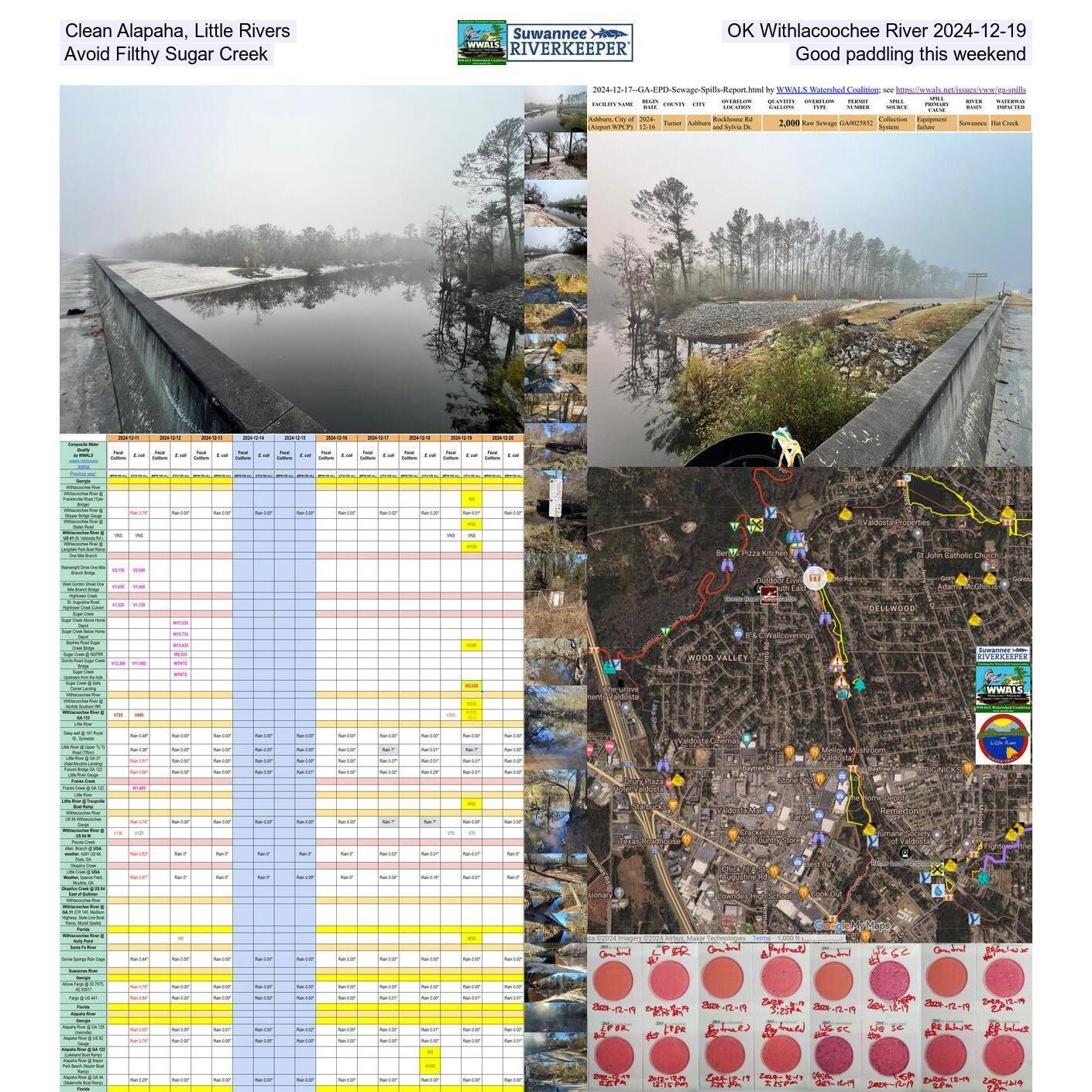 Clean Alapaha, Little Rivers, OK Withlacoochee River 2024-12-19 Avoid Filthy Sugar Creek; Good paddling this weekend