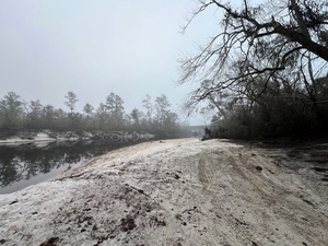 [Upstream, Naylor Park Beach, Alapaha River @ US 84 2024-12-18]