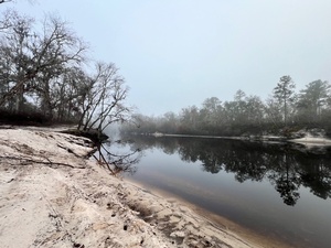 [Downstream, Naylor Park Beach, Alapaha River @ US 84 2024-12-18]