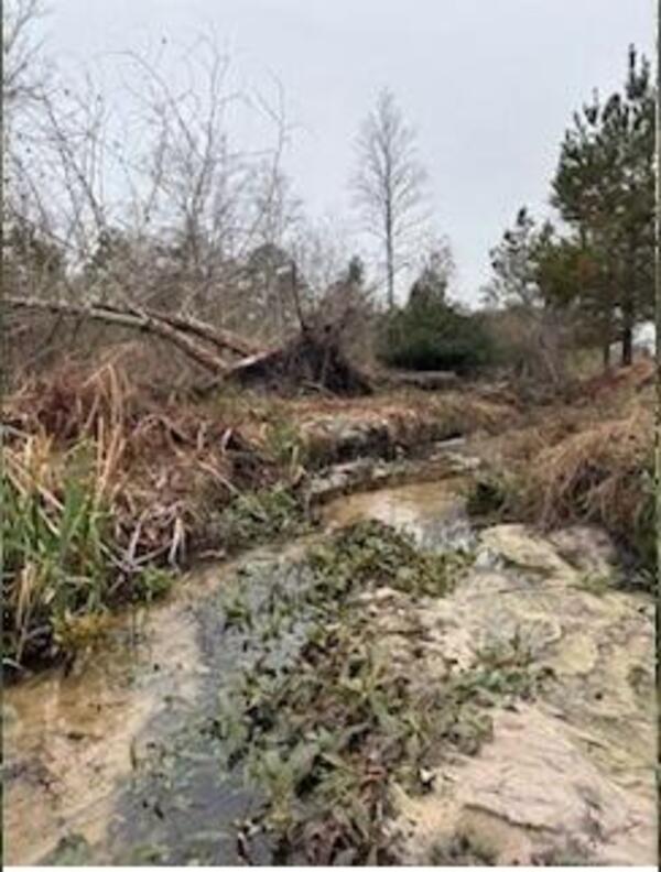 [Alapaha, GA, WWTP Outflow 2024-12-26]