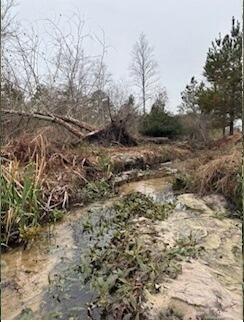 Alapaha, GA, WWTP Outflow 2024-12-26