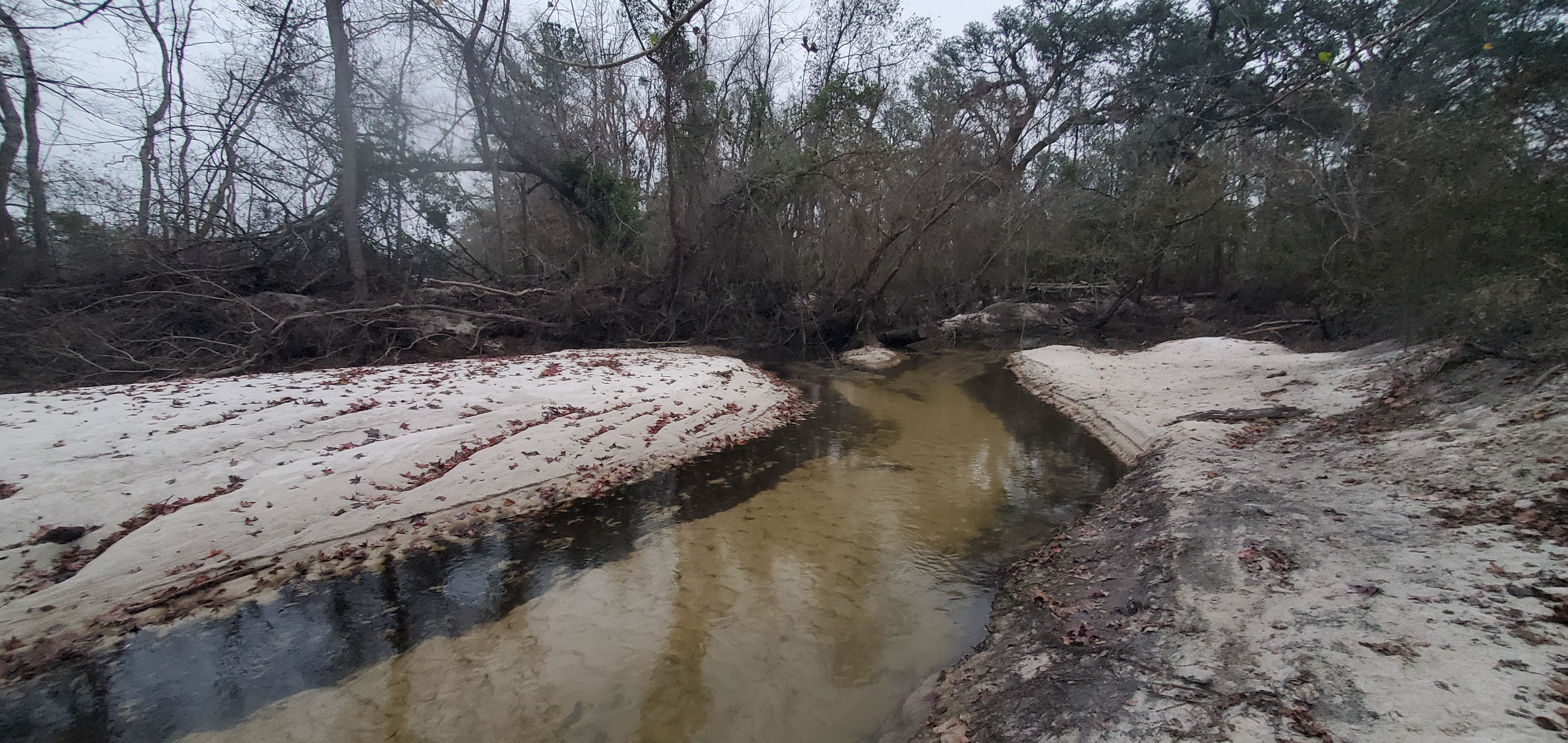 Upstream past Two Mile Branch, Sugar Creek @ WaterGoat other 2024-12-26