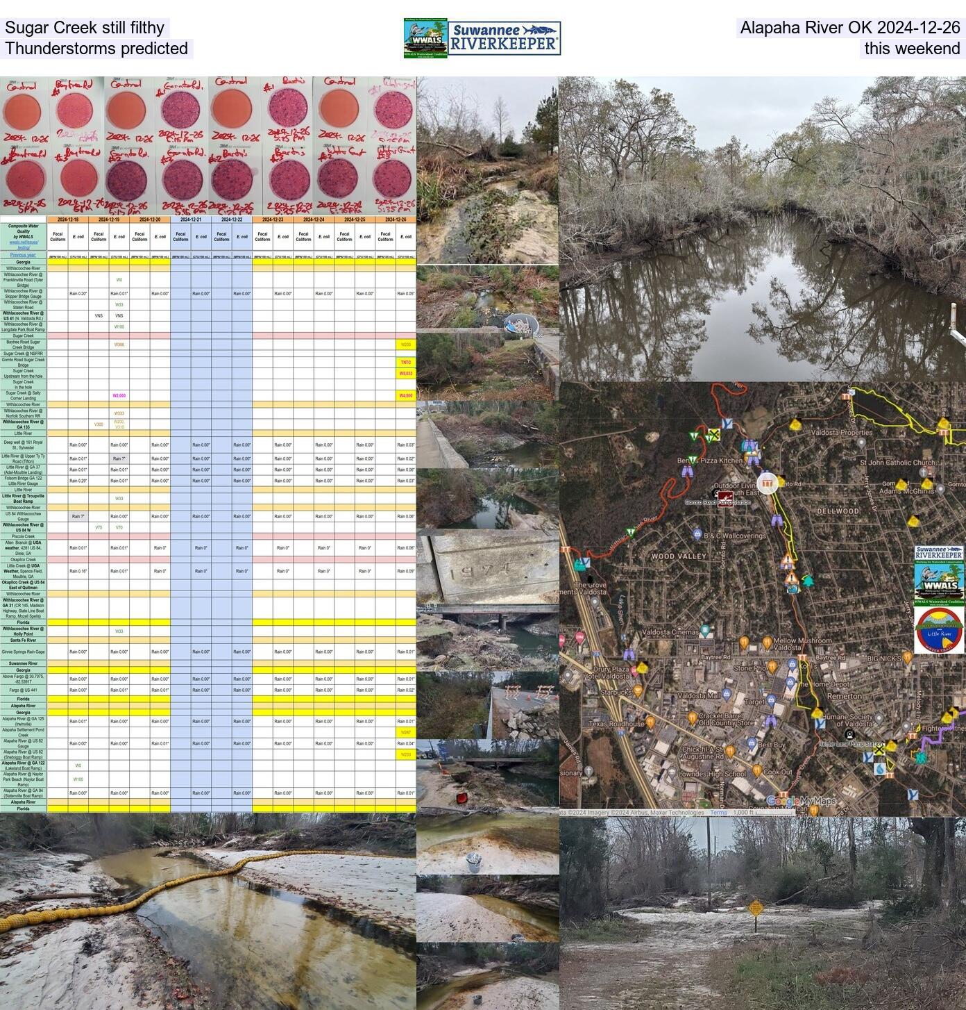 Sugar Creek still filthy, Alapaha River OK 2024-12-26 Thunderstorms predicted this weekend