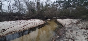 [Upstream past Two Mile Branch, Sugar Creek @ WaterGoat other 2024-12-26]