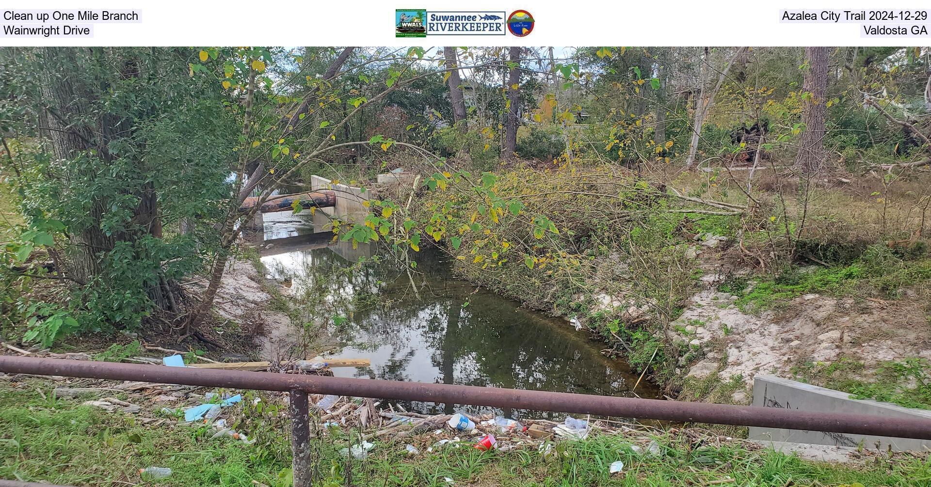 Clean up One Mile Branch at Azalea City Trail 2024-12-29, Wainwright Drive, Valdosta GA