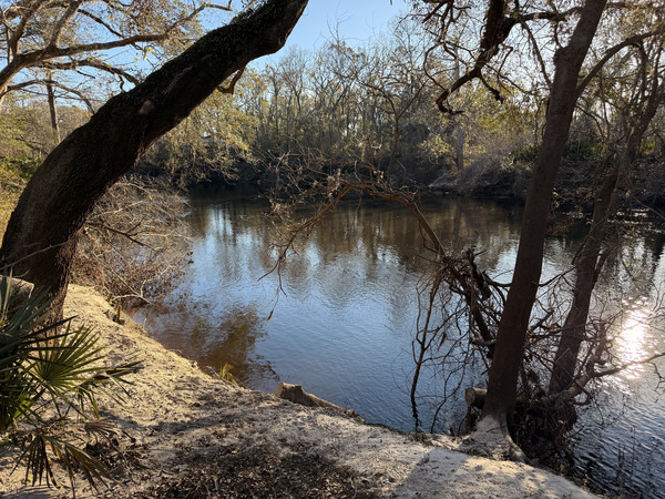 Holly Point other, Withlacoochee River @ NE Withla Bluffs Way 2025-01-02