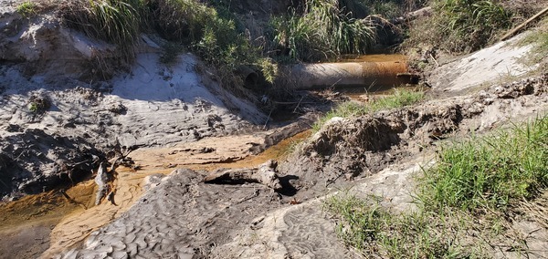 [Sample site, feed creek across exposed sewer line, Sherwood Drive by RR trestle, Sugar Creek, 2025:01:02 12:51:09, 30.8525808, -83.3149904]