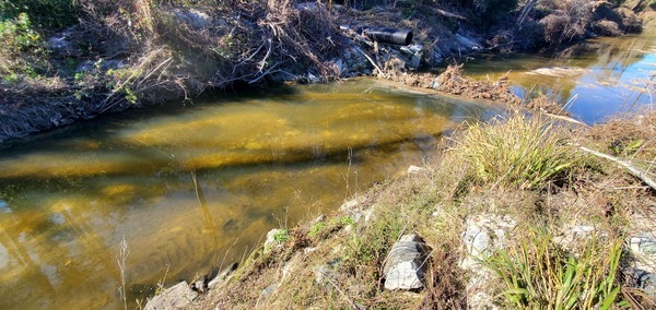 Context, sample site above Westbrook Circle sewer line, Sugar Creek, 2025:01:02 13:22:13, 30.8505085, -83.3143630