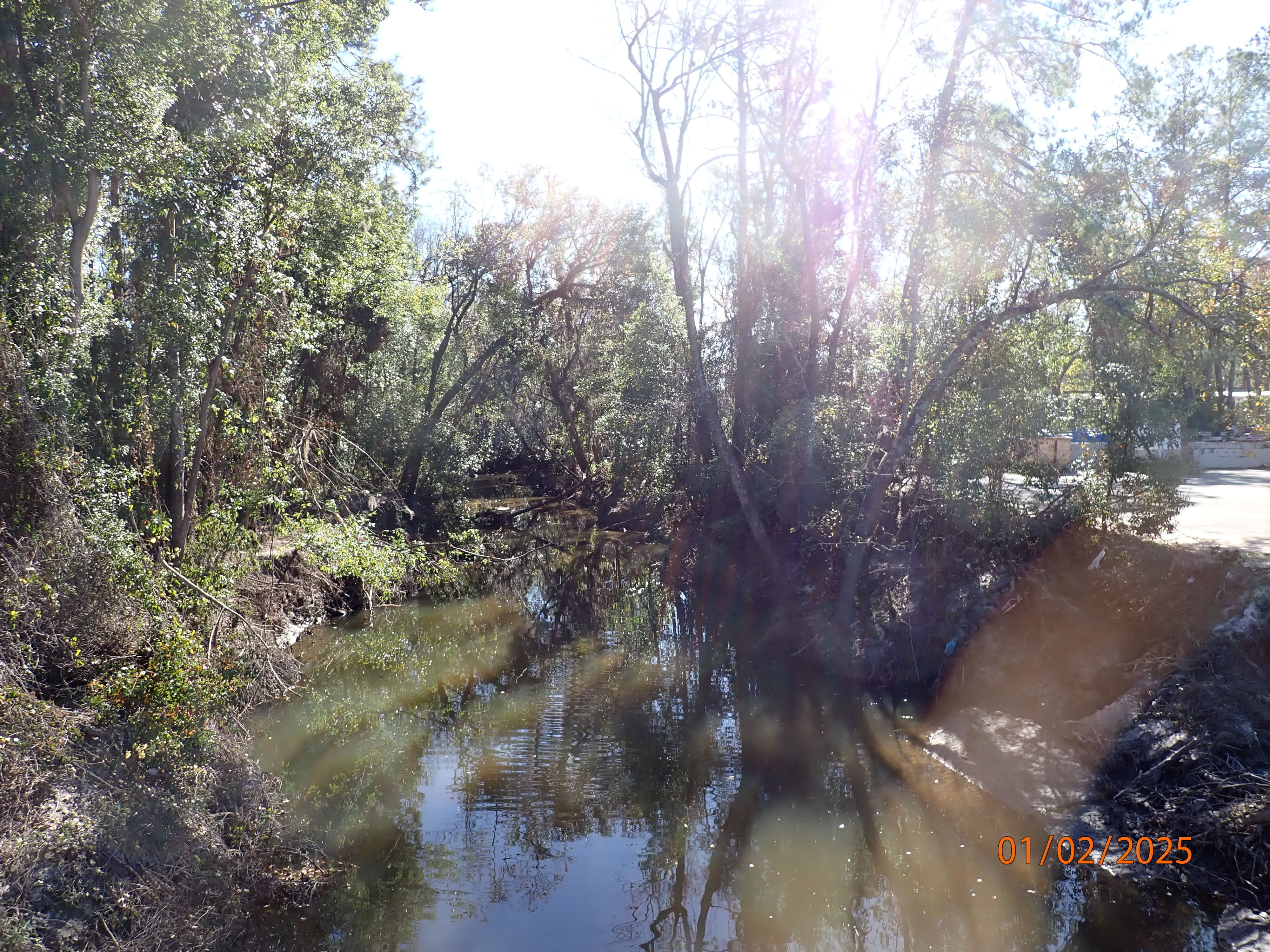 Upstream from Gornto Road past Window World, Sugar Creek P1020614 2025-01-01