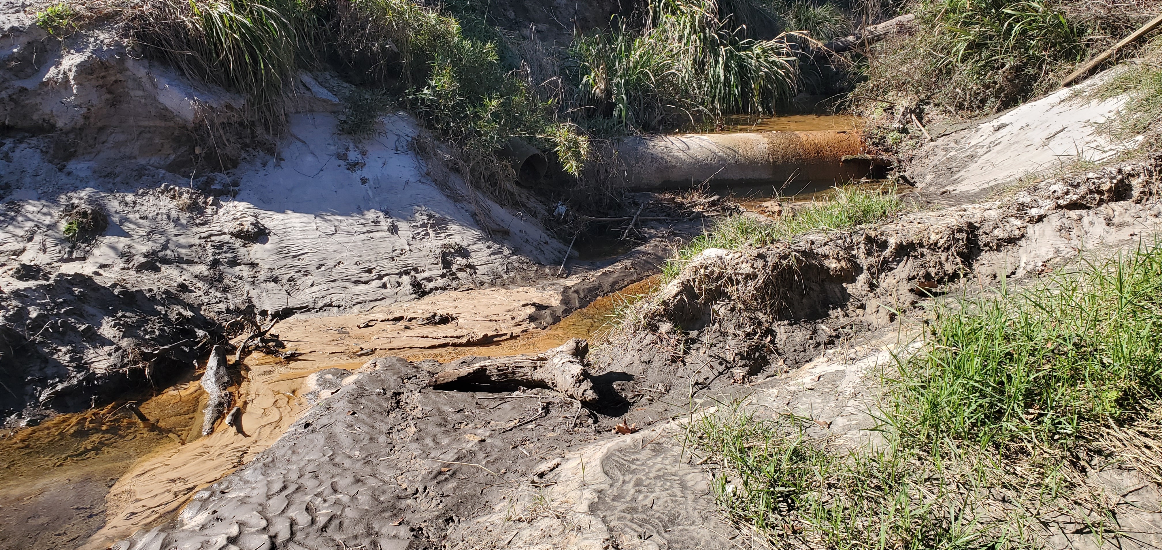 Sample site, feed creek across exposed sewer line, Sherwood Drive by RR trestle, Sugar Creek, 2025:01:02 12:51:09, 30.8525808, -83.3149904