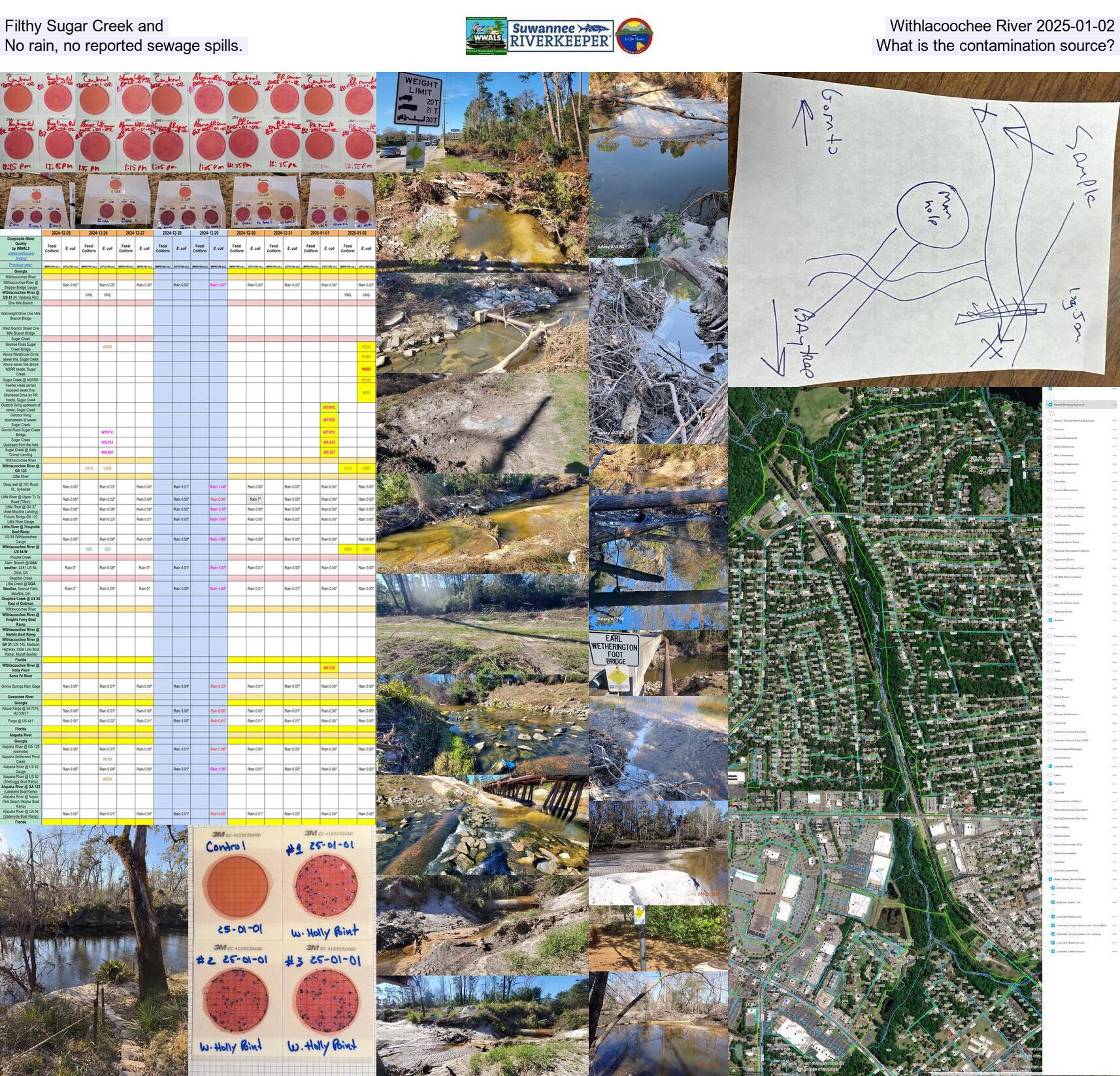 Filthy Sugar Creek and Withlacoochee River 2025-01-02, No rain, no reported sewage spills. What is the contamination source?