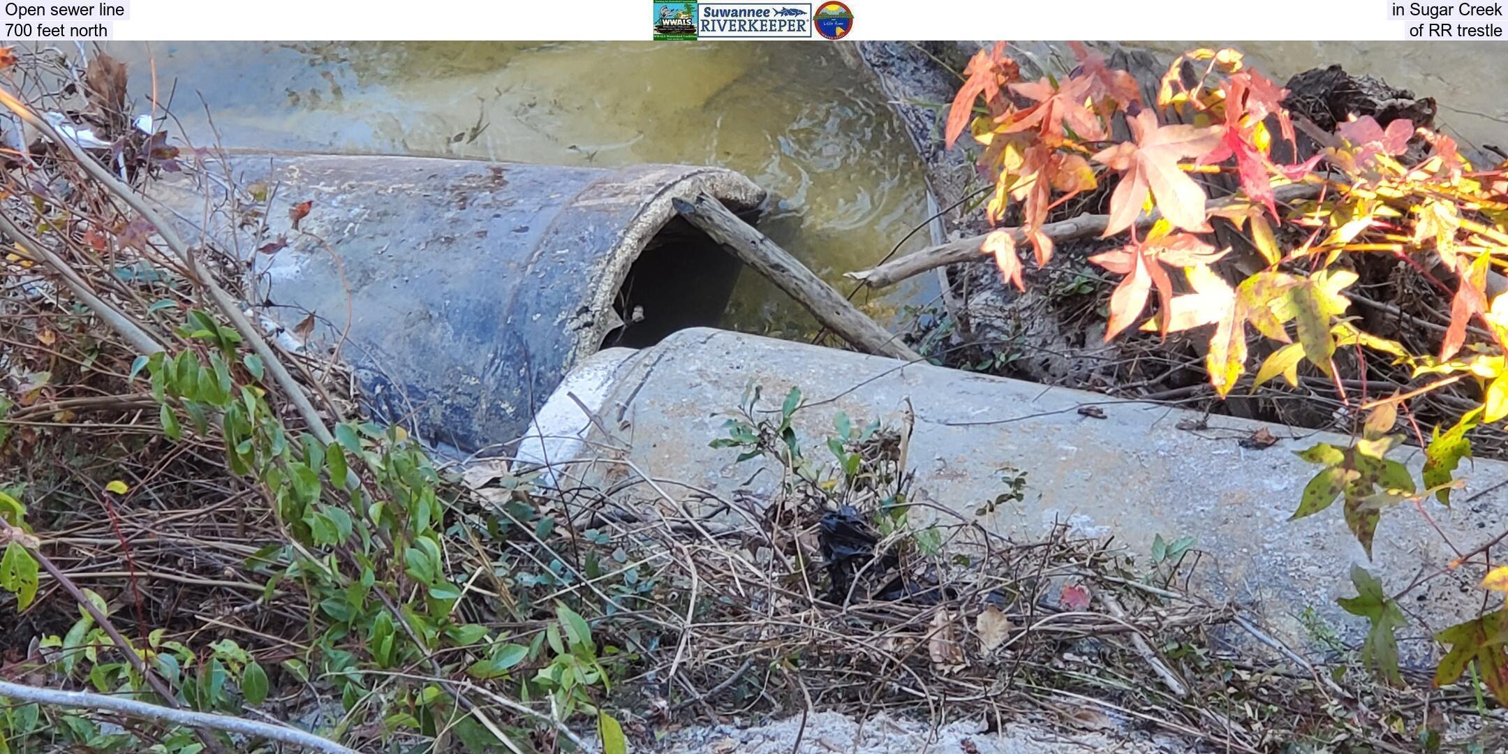 Open sewer line in Sugar Creek, 700 feet north of RR trestle