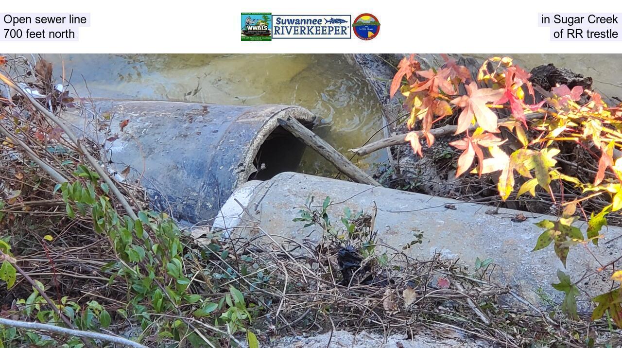 Open sewer line in Sugar Creek, 700 feet north of RR trestle