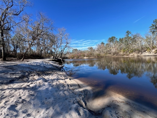 Downstream, Naylor Park Beach, Alapaha River @ US 84 2025-01-08