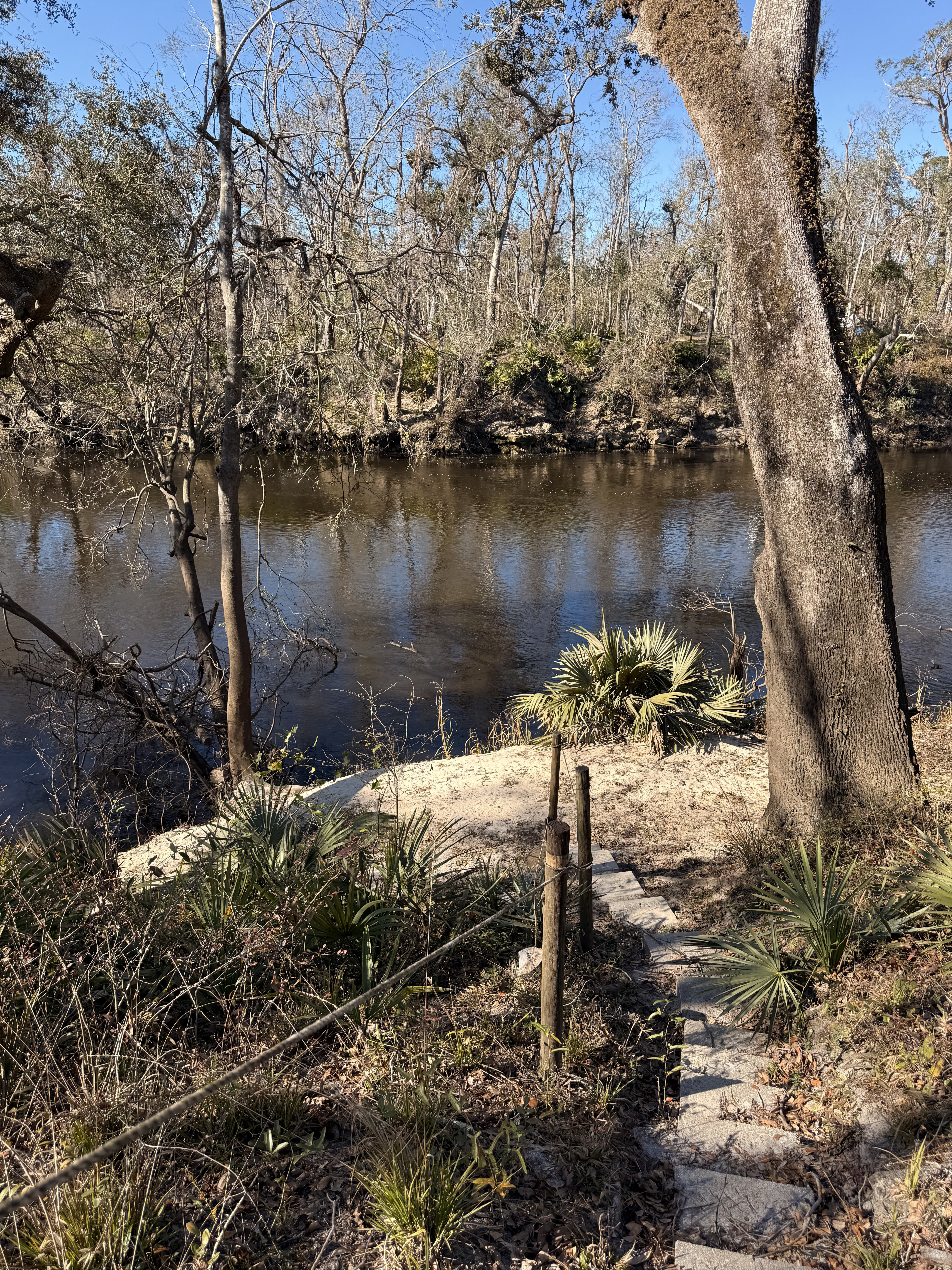 Holly Point other, Withlacoochee River @ NE Withla Bluffs Way 2025-01-07