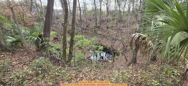 Sonny's BBQ, Mill Creek Sink, 2026:01:13 15:49:28, 29.8010200, -82.5085104 --jsq for WWALS