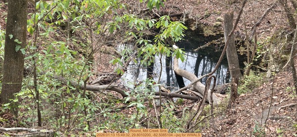 Round, Mill Creek Sink, 2026:01:13 15:49:32, 29.8010200, -82.5085104 --jsq for WWALS