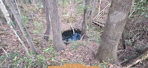 [Closer, Mill Creek Sink, 2026:01:13 15:35:16, 29.8010422, -82.5088446 --jsq for WWALS]