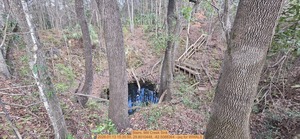 [Stairs, Mill Creek Sink, 2026:01:13 15:35:50, 29.8010448, -82.5088364 --jsq for WWALS]