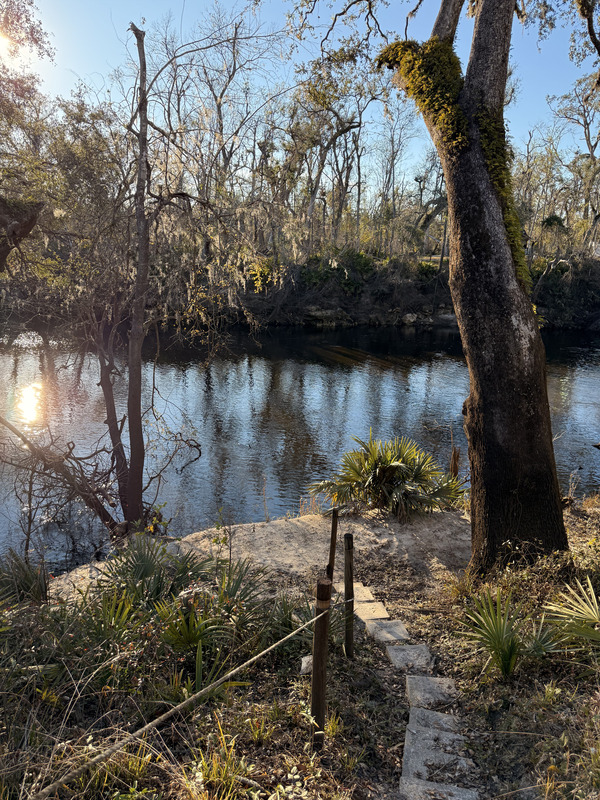 [Holly Point, Withlacoochee River @ NE Withla Bluffs Way 2025-01-15]