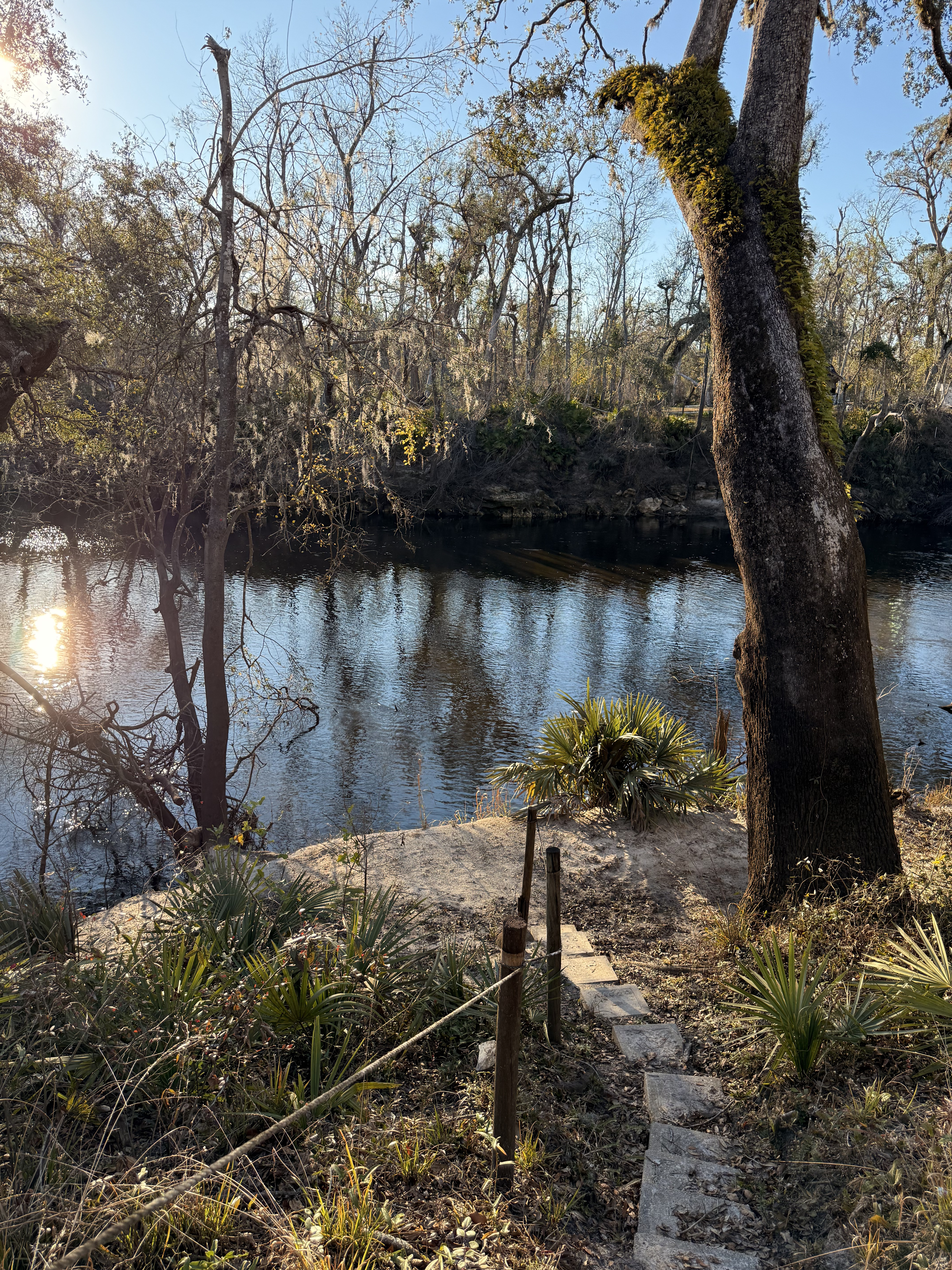 Holly Point, Withlacoochee River @ NE Withla Bluffs Way 2025-01-15