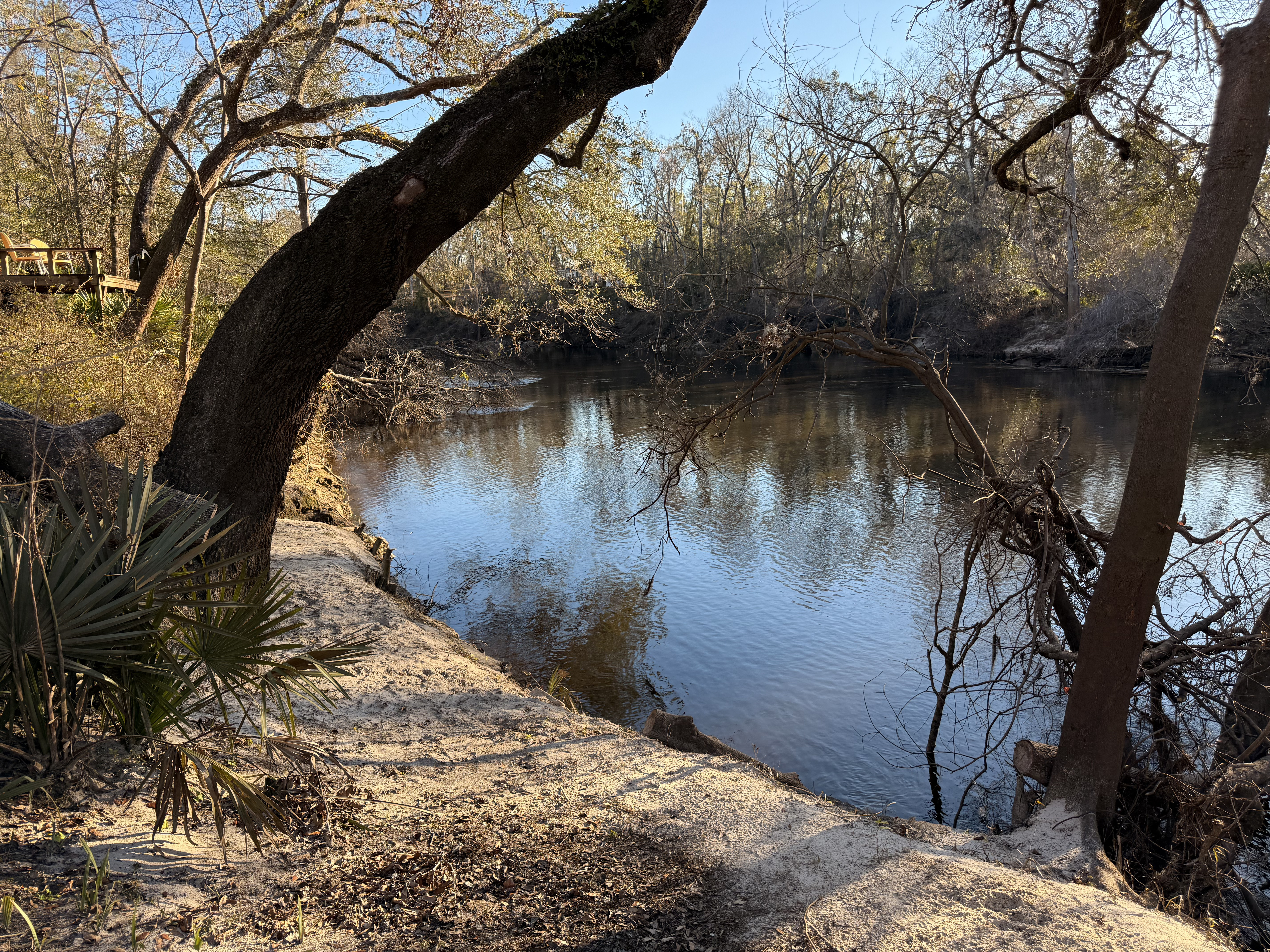 Holly Point other, Withlacoochee River @ NE Withla Bluffs Way 2025-01-15