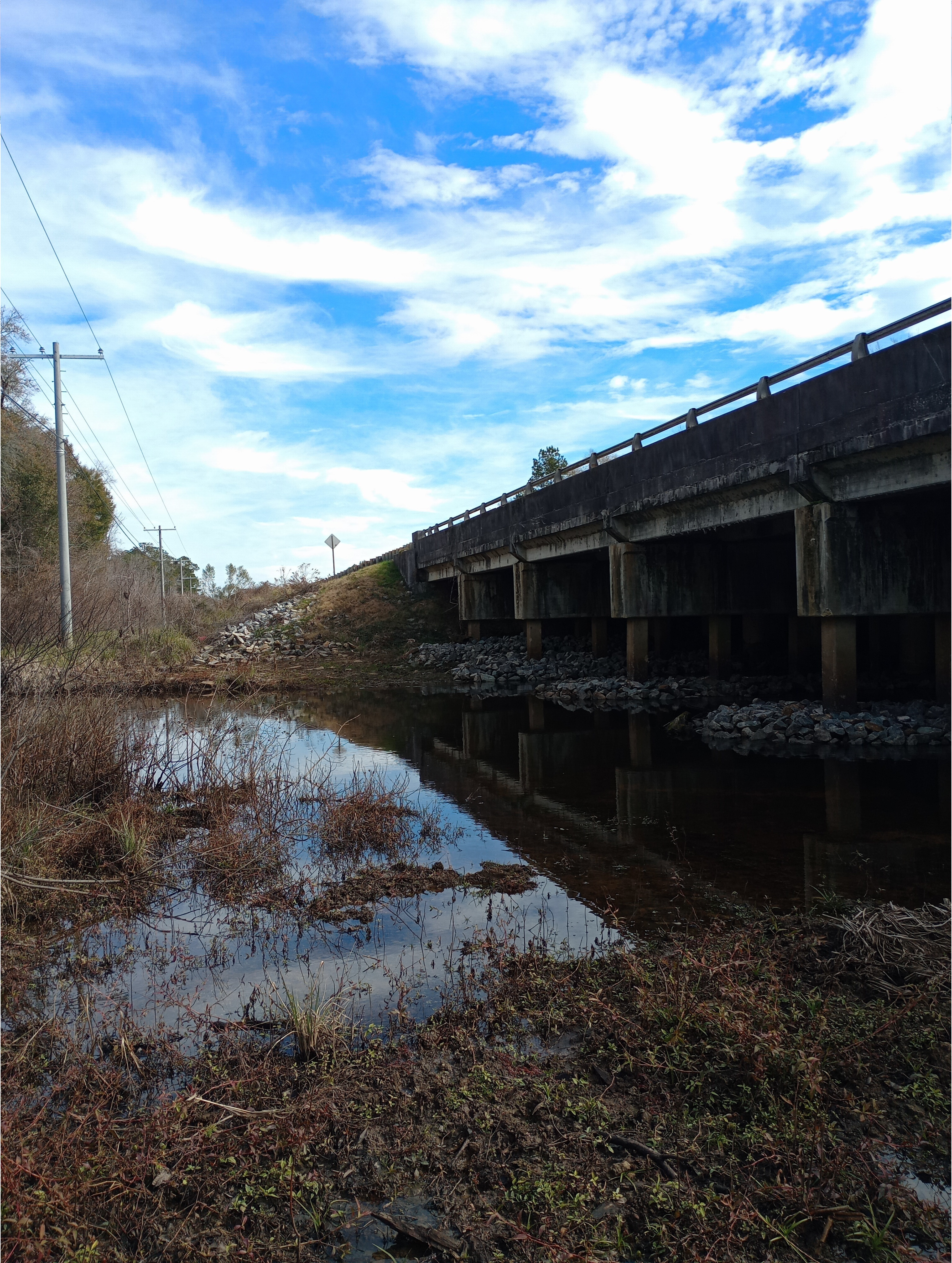 Little River @ US 82, Little River 2025-01-15