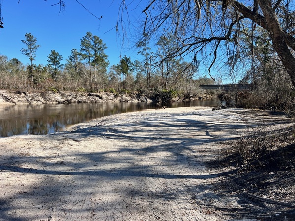 Downstream, Naylor Park Beach, Alapaha River @ US 84 2025-01-16