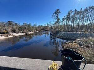 [Downstream, Lakeland Boat Ramp, Alapaha River @ GA 122 2025-01-16]