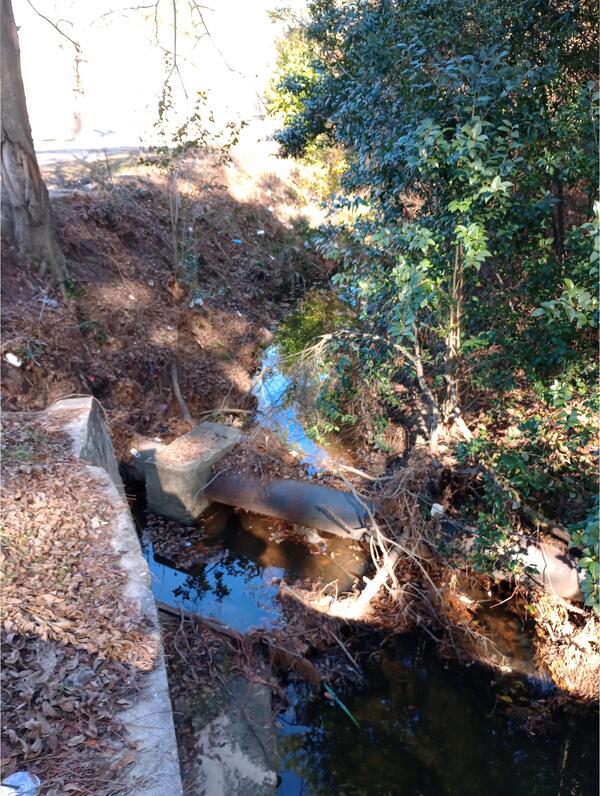 [Sewer pipe, 18th Street, Tifton, GA, New River 2025-01-20]