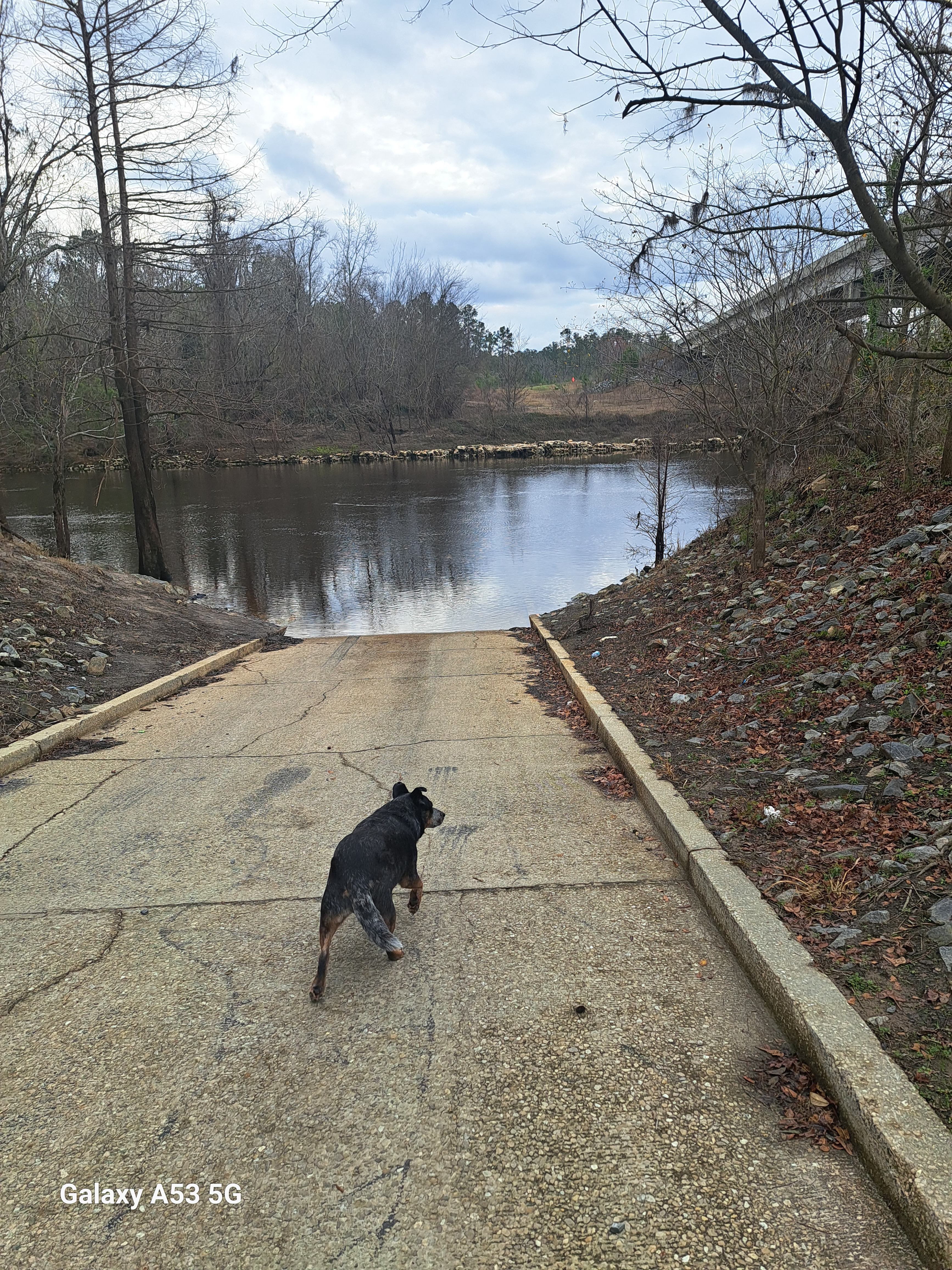 State Line Boat Ramp, Withlacoochee River @ Madison Highway 2025-01-19