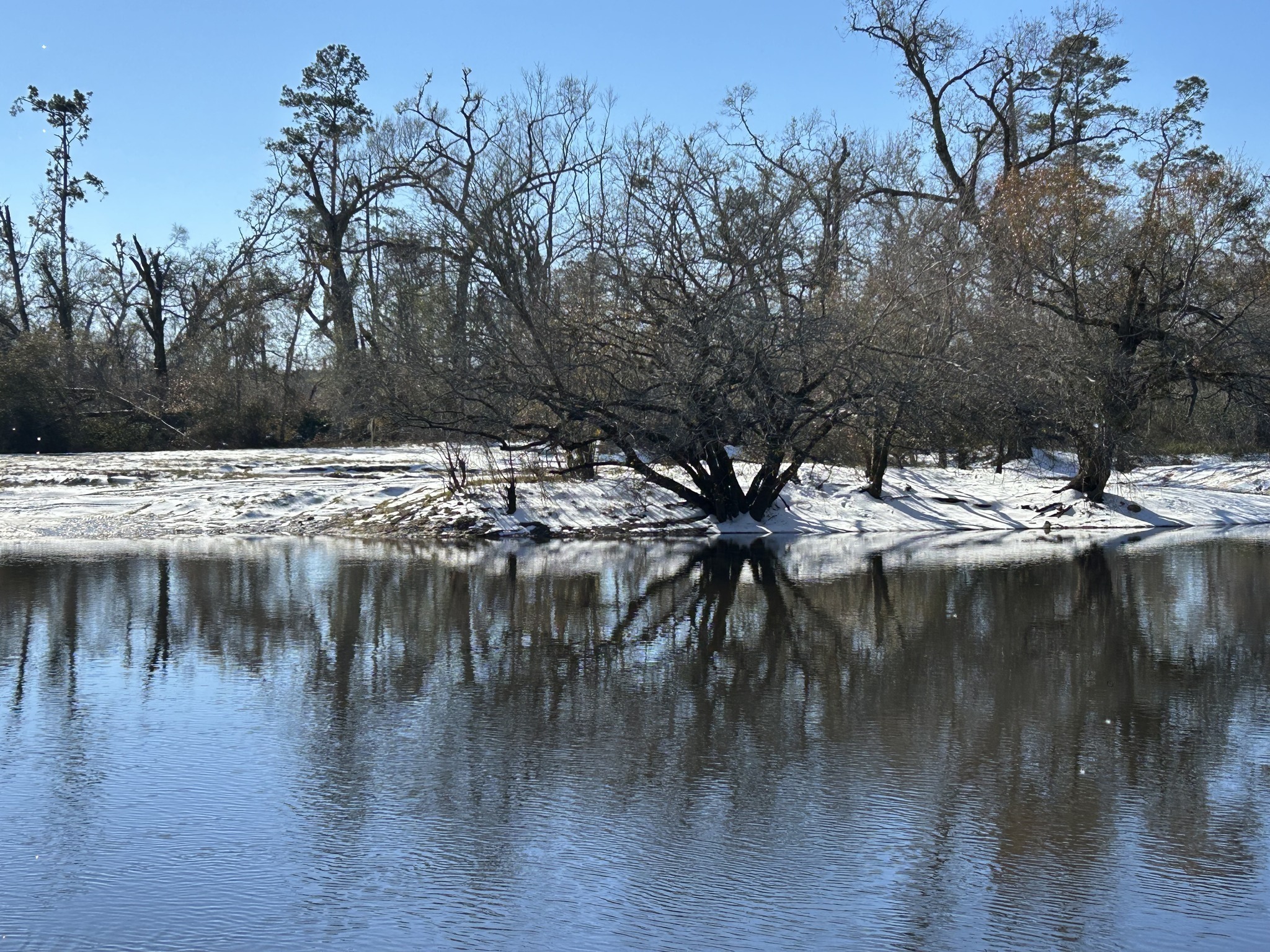 Nashville Landing, Alapaha River @ GA 168 --Shirley Kokidko 2025-01-22