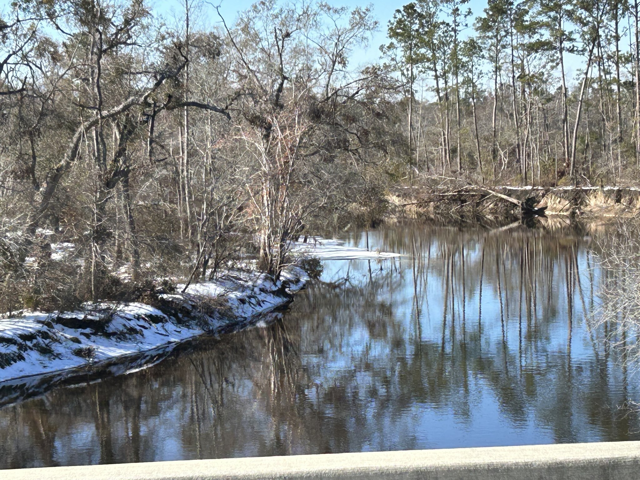 Upstream, Willacoochee Landing, Alapaha River @ GA 168 --Shirley Kokidko 2025-01-22