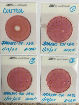 [Plates, Franks Creek @ GA 122 2025-01-19]