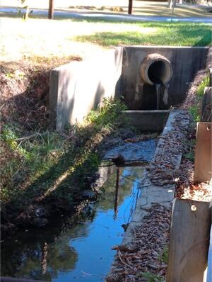 [Culvert, 18th Street, Tifton, GA, New River 2025-01-20]