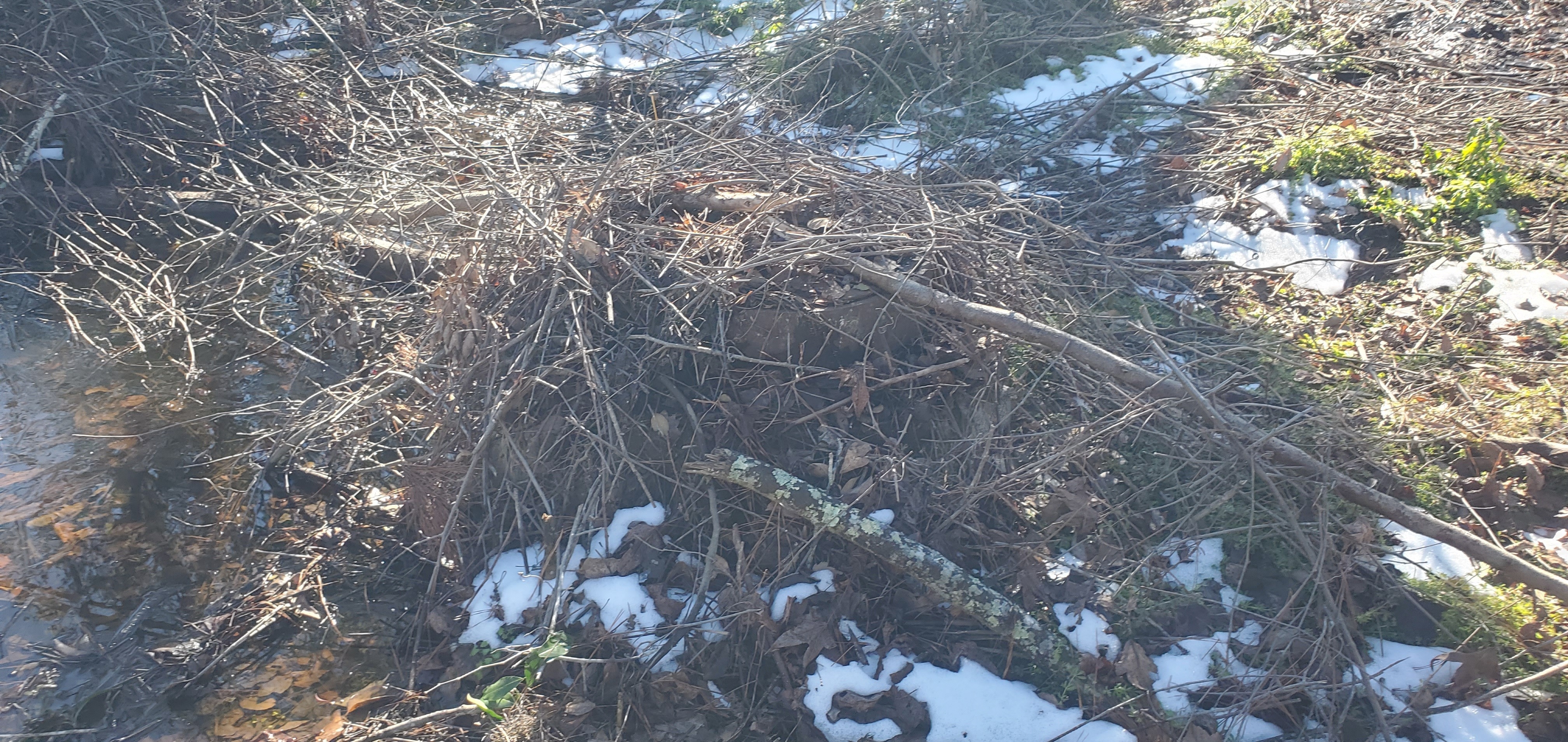 Manhole buried in debris, 10:37:31, 30.8431693, -83.2980802