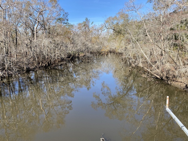 [Sheboggy Boat Ramp, Alapaha River @ US 82 2025-01-26]