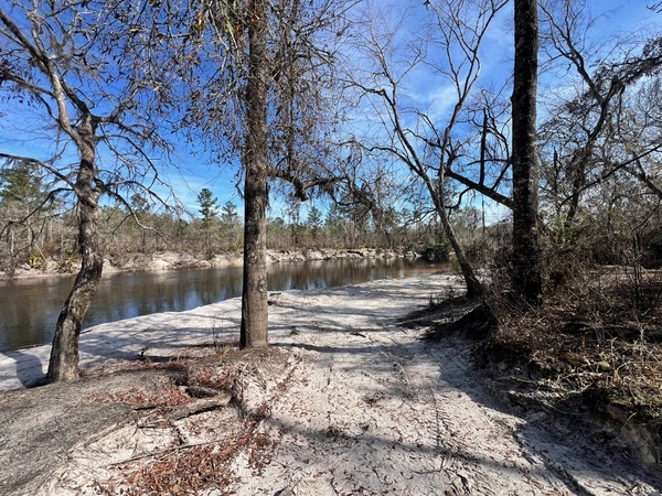 [Naylor Park Beach, Alapaha River @ US 84 2025-01-30]