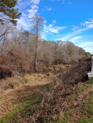 [Approach, Little River @ Omega-Eldorado Bridge, Little River @ Omega-Eldorado Road 2025-01-28]