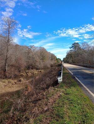 [Closer, Little River @ Omega-Eldorado Bridge, Little River @ Omega-Eldorado Road 2025-01-28]